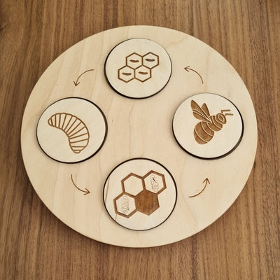 Life Cycle Disc Set BEE