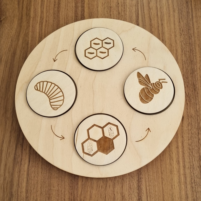 Life Cycle Disc Set BEE