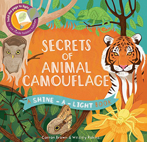 Secrets of Animal Camouflage - Shine-a-Light