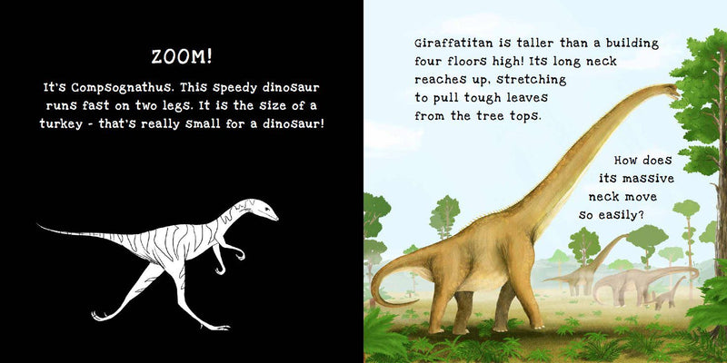 Dinosaurs - A Shine-a-Light Book