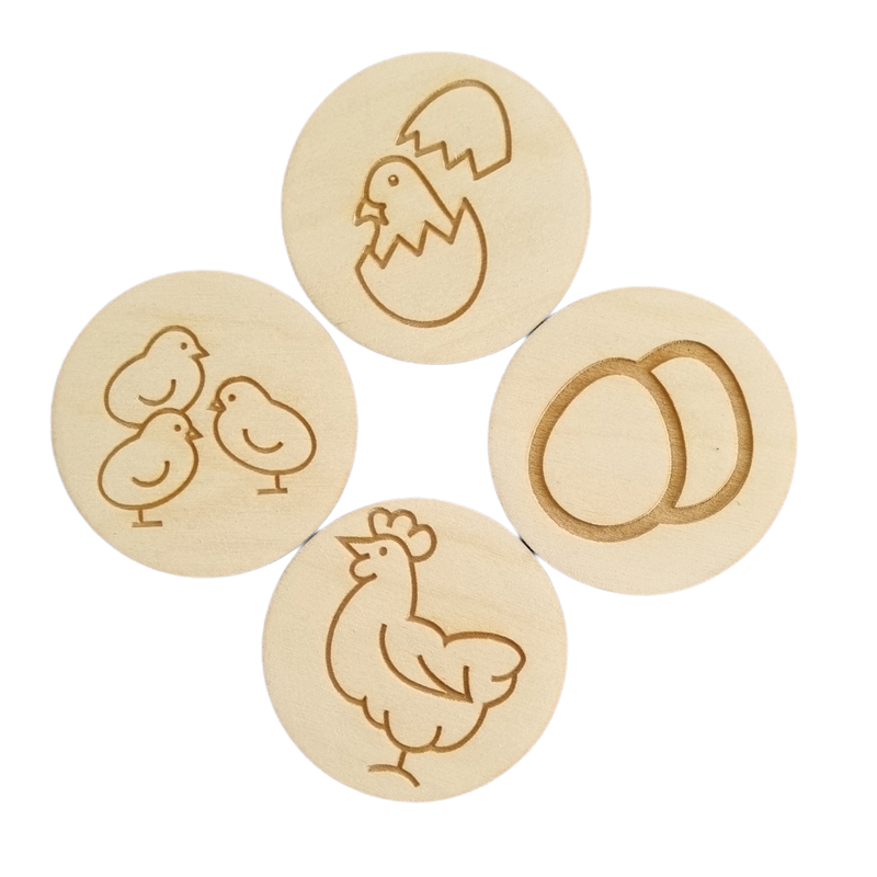 Life Cycle Discs CHICKEN