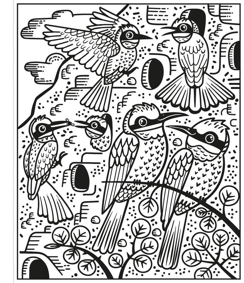 Birds Magic Painting Book