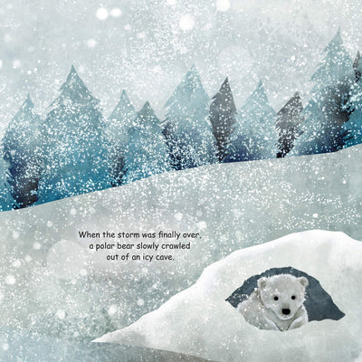 The Lonely Polar Bear Picture Book