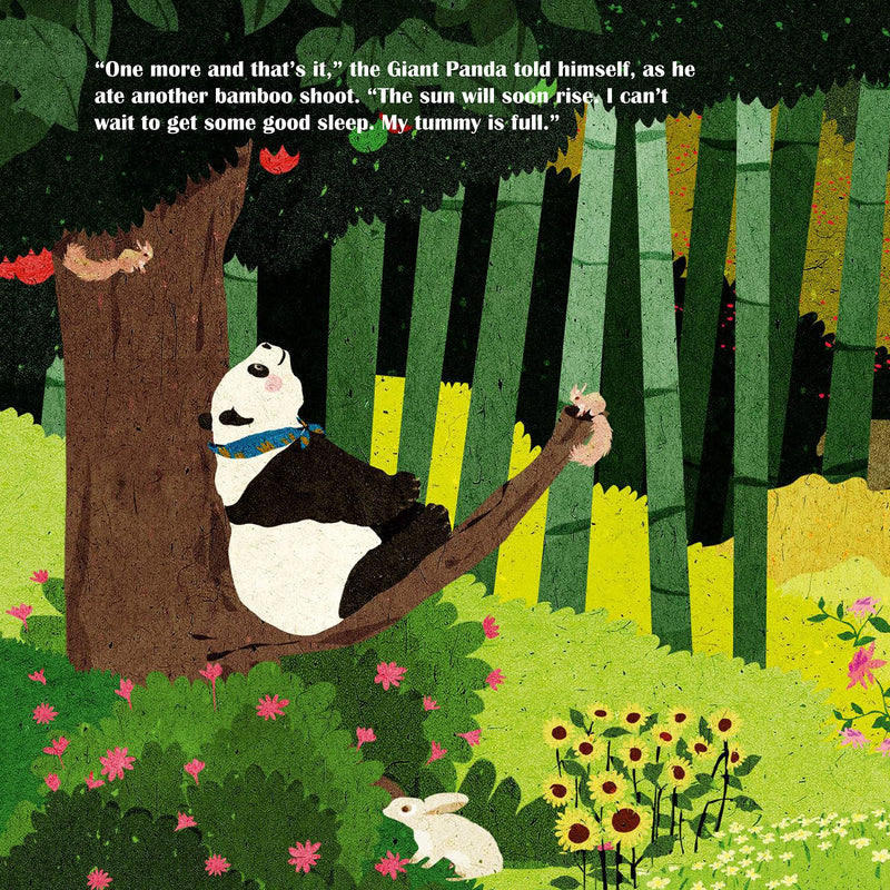 Giant Panda Picture Book