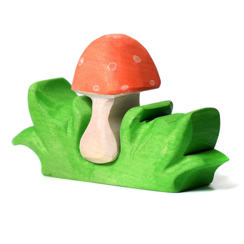 Mushroom in Grass