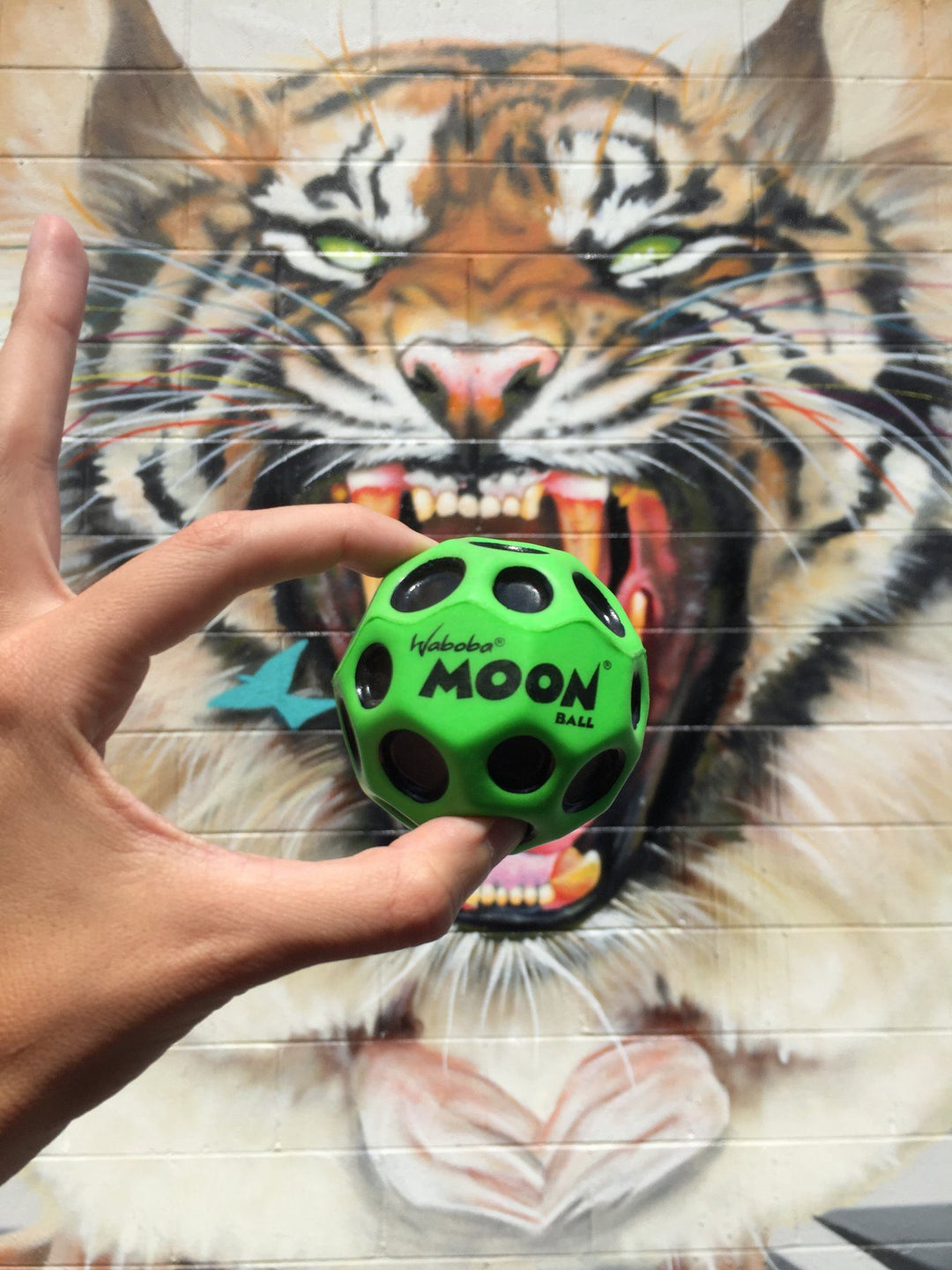 Moon Ball, Variety of Colors – Flying Pig Toys