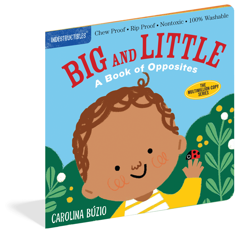 Big and Little: A Book of Opposites