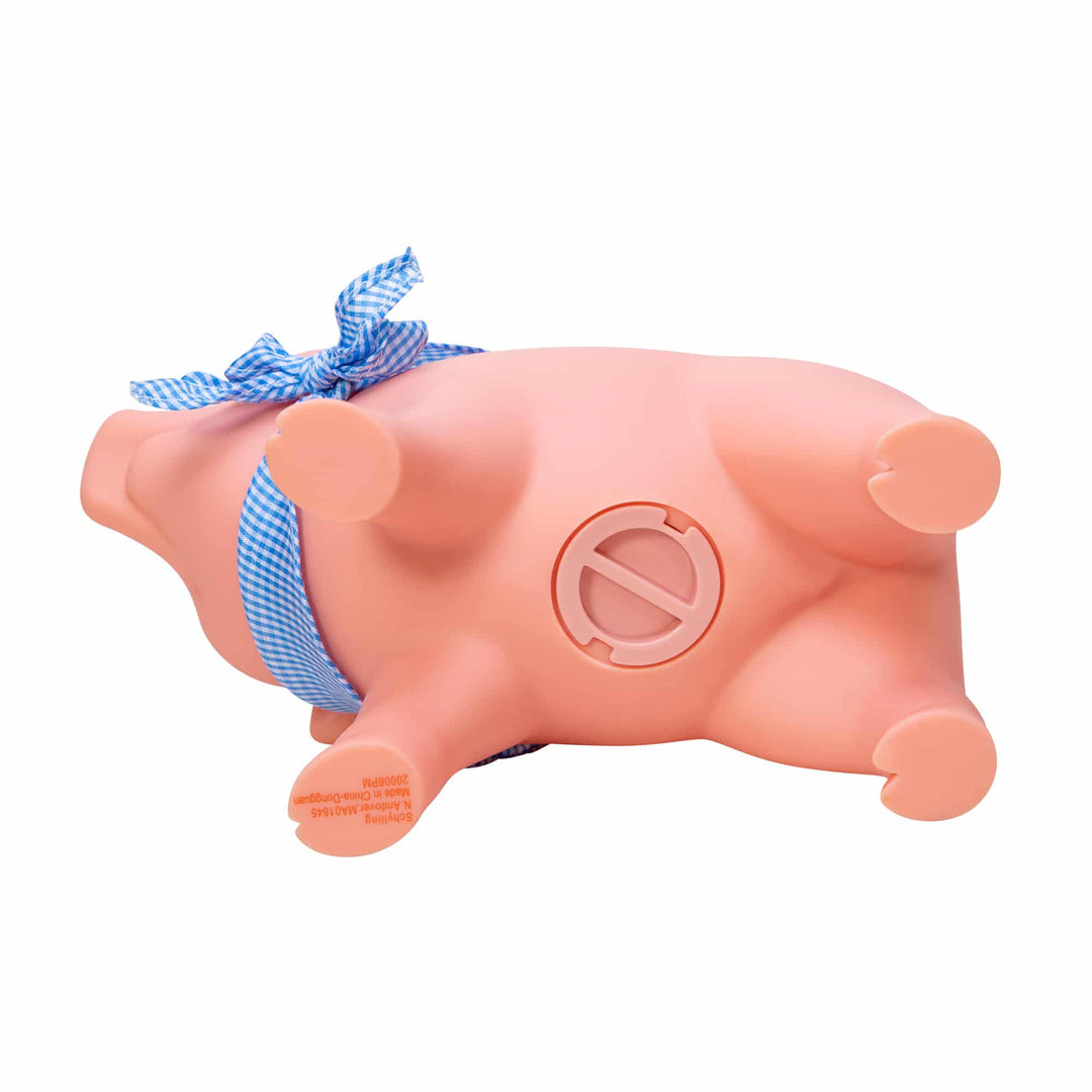 Rubber Piggy Bank – Flying Pig Toys
