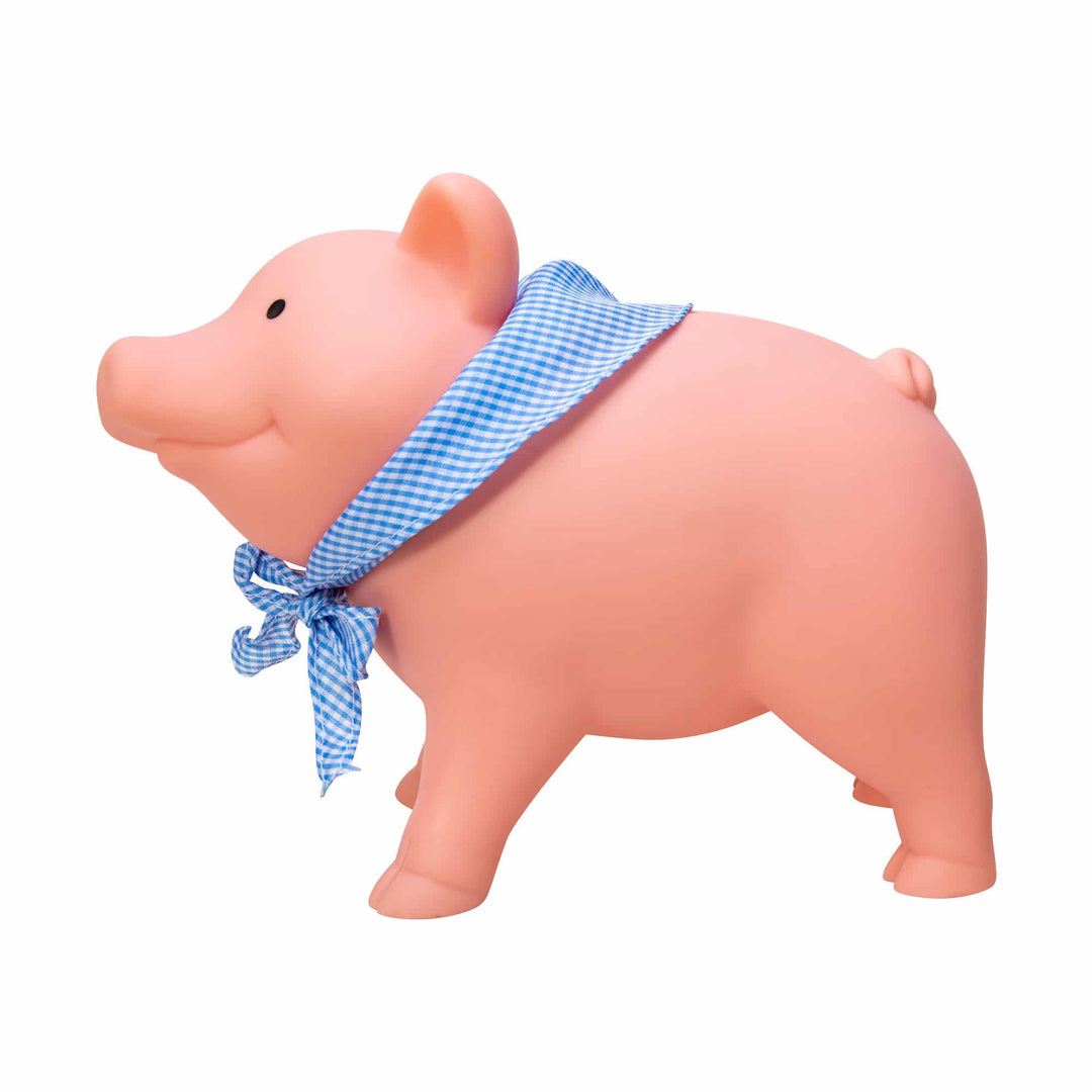 Rubber Piggy Bank – Flying Pig Toys