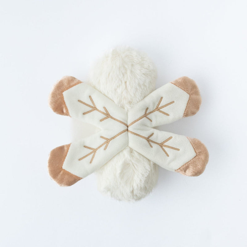 Snowflake Dragonfly Mini and Ibex Lesson Book