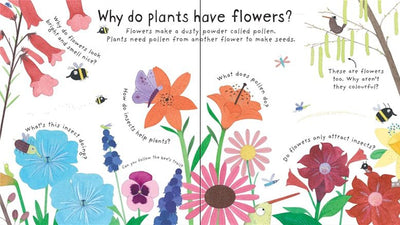 Lift-the-flap First Questions and Answers: How Do Flowers Grow?
