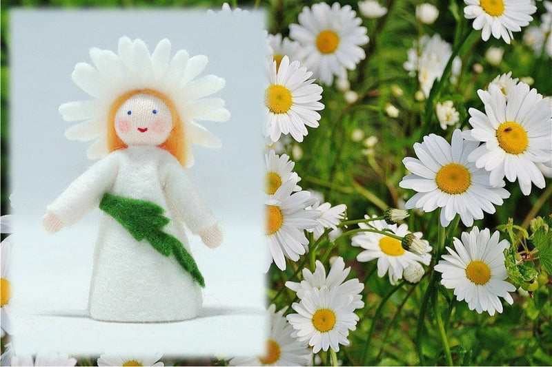 Daisy Fairy