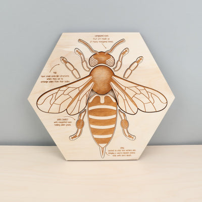 Bee Anatomy Wooden Puzzle