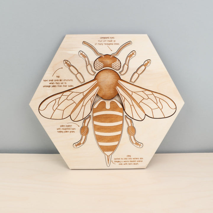 bee-anatomy-wooden-puzzle-