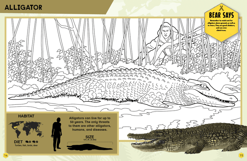 Reptiles &amp; Amphibians Coloring Book