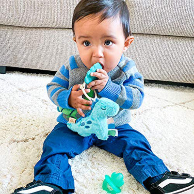 Dino Itzy Pal™ Plush + Teether