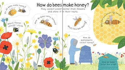 Lift-the-Flap First Questions and Answers: Why Do We Need Bees?