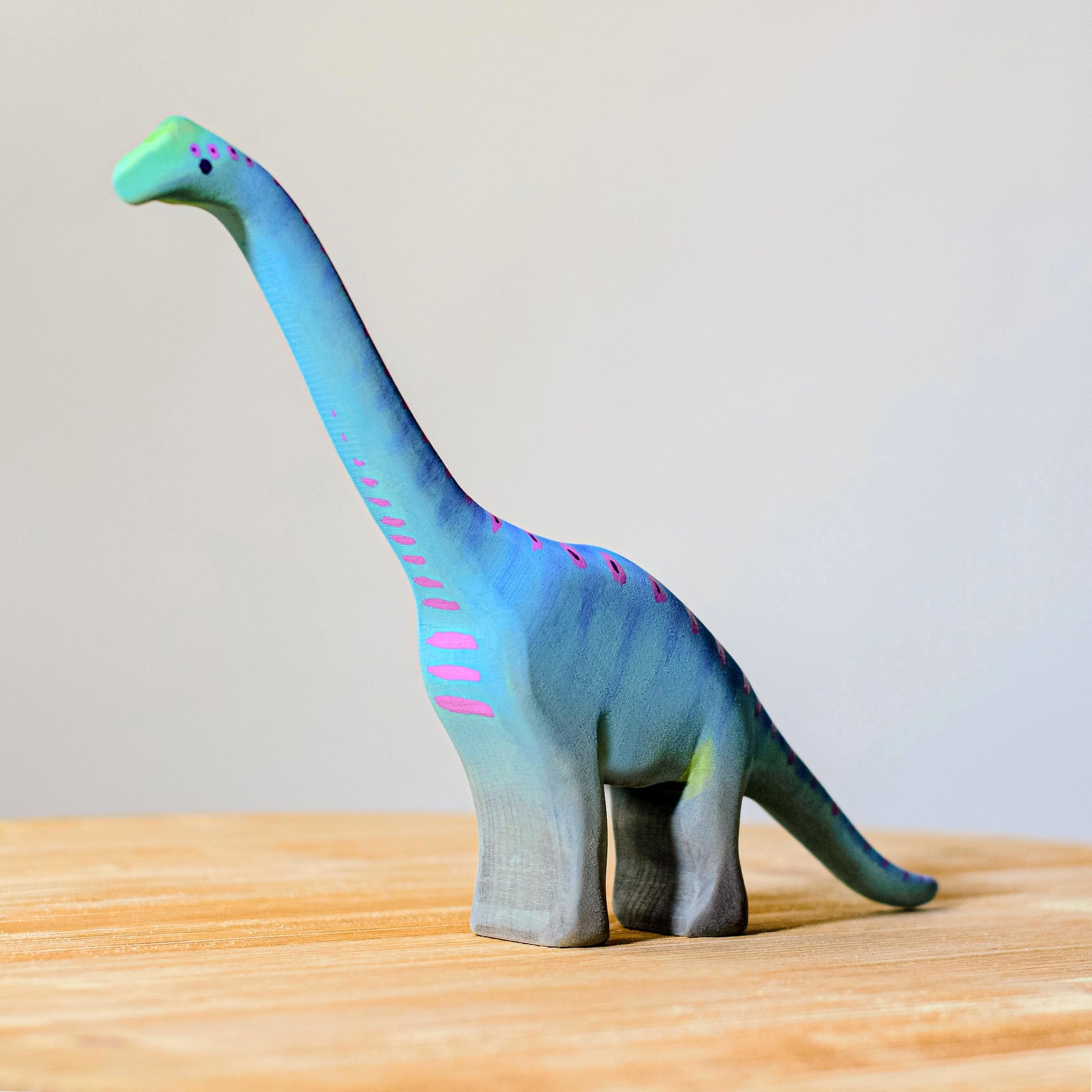 Brontosaurus, Large