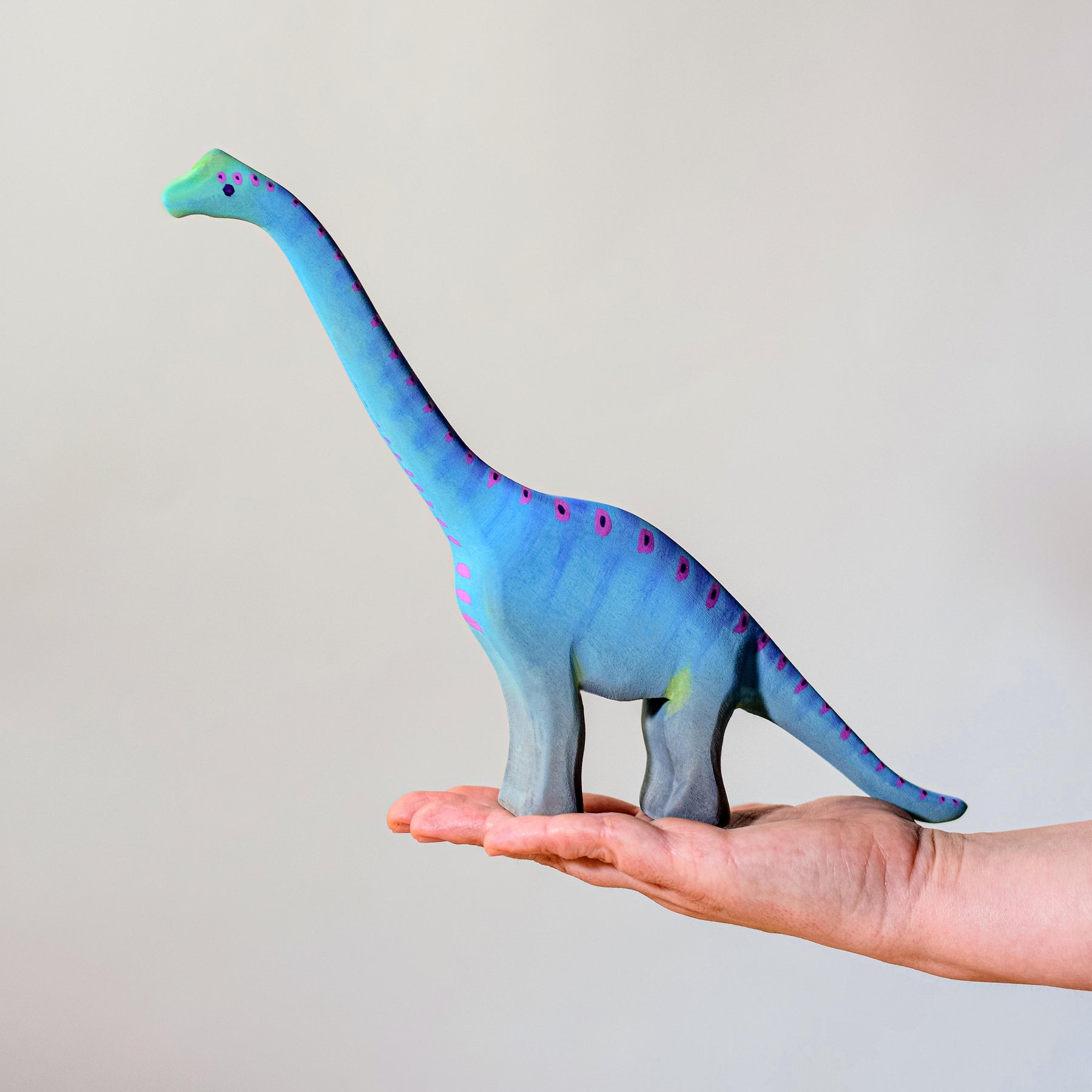 Brontosaurus, Large