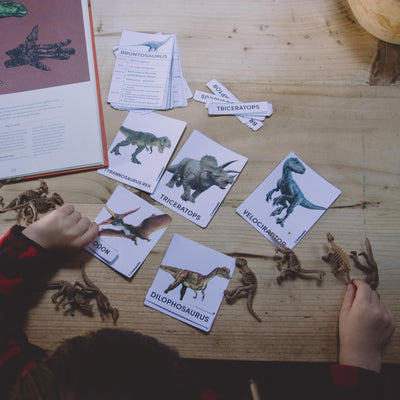 Dinosaurs - Cards and Fossil Figurines
