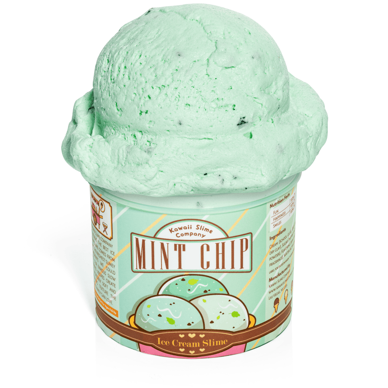 Mint Chip Scented Ice Cream Pint Slime