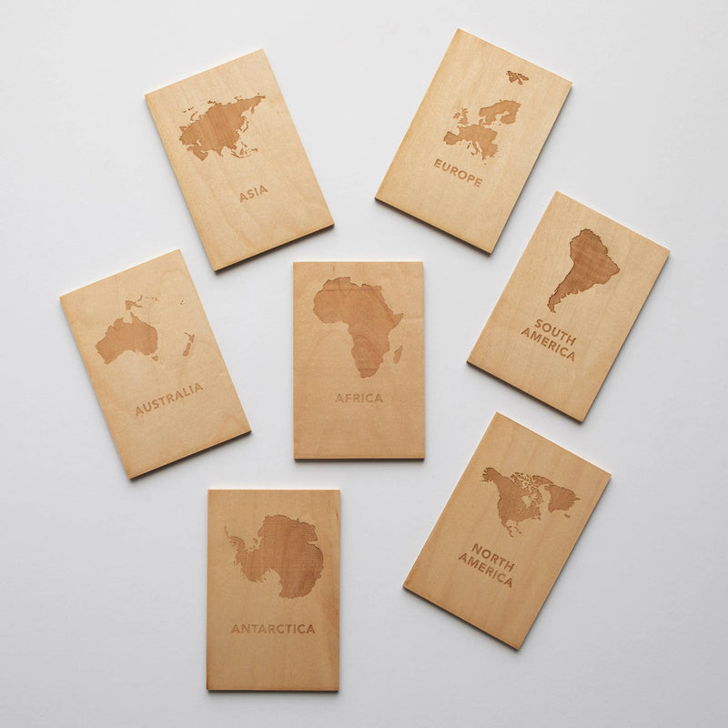 Wooden Continent Flashcards and Stand