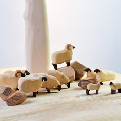 Sheep, Lying