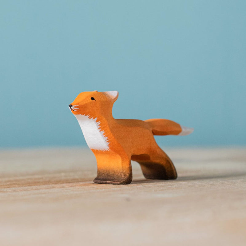 Fox Cub, Curious