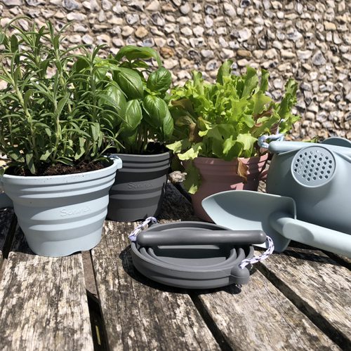 duck egg plant pot Seedling Pot with Spade, Duck Egg Blue – Flying Pig Toys