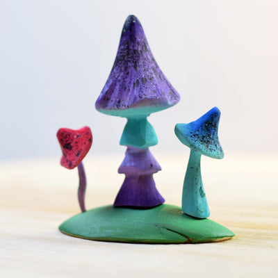 Enchanted Mushroom Set