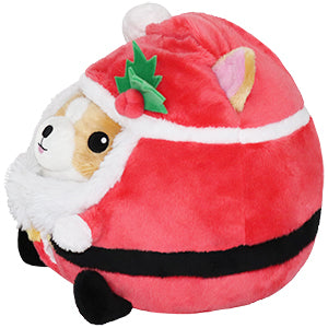 Undercover Corgi in Santa