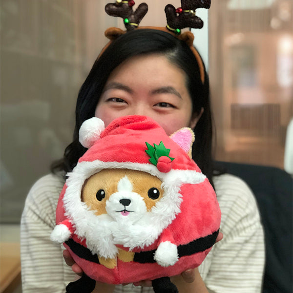 Undercover Corgi in Santa