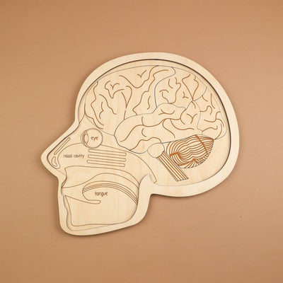 Use Your Head Wooden Puzzle